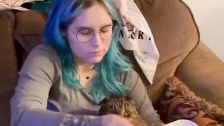 Amazing Funny Cats Trending Clips????|| Best #funny Cats #shorts Video????|| #trending #animals