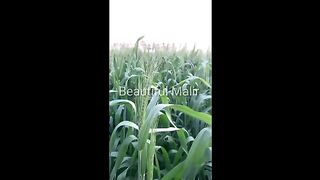 Beautiful place in the Malir