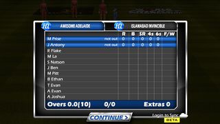 Cricket game