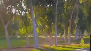 The islamic university
