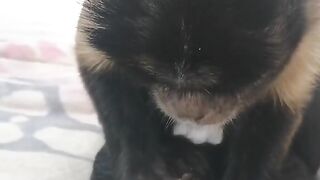 The birth of a new life.