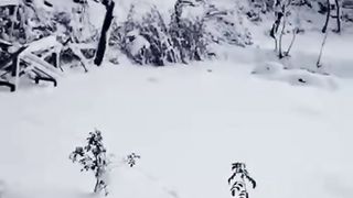 Snowfall in ksashmir