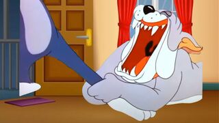 Tom & Jerry | Tom & Jerry in Full Screen | Classic Cartoon Compilation