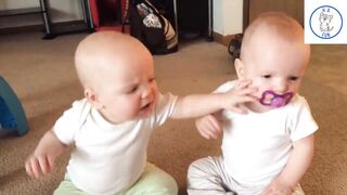 Twins baby girls fight over pacifier