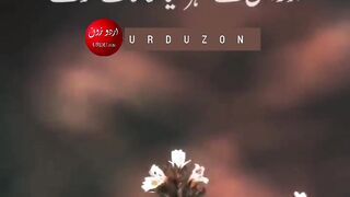 ALLAH Ki Raza Ke Liye Mohabbat ||URDUZON || #shorts #viral #inshot #urduzon #islamic #status
