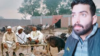 VLOG VILLAGE LIFE VLOG | how to make hookah on dairy farm????