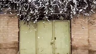 Viral Short Video / Its Trending / NATURE