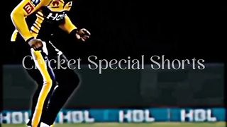 Cricket highlights Excellent batting for Rashid khan and bolwled Allen funtastic dance