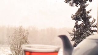 Viral Short Video / Its Trending / NATURE RELAX