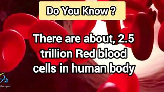 Interesting facts about Human body | Febstop.com | I am Physiotherapist