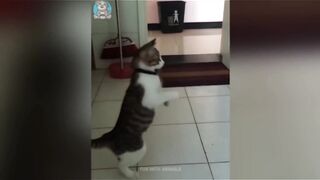 Adorable and cute animals