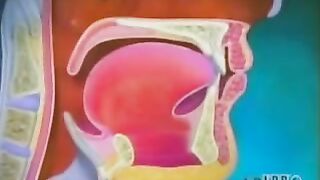 health digestive system