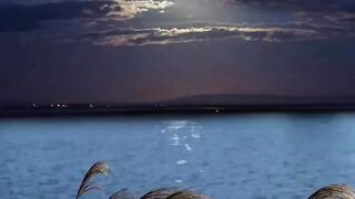 Amazing Moon View / Shorts video For you