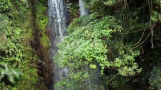 beauty of the nature