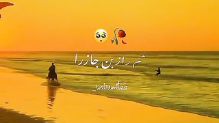 Whatsapp status 2023