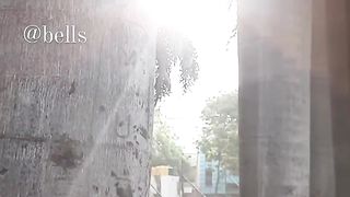 Sunny day at park