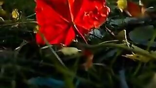 Hume tu lut Liya mil ke ishq walo ne