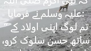 Deen e Islam ##shorts