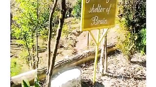 Neutral beauty park in Abbottabad