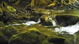 Relaxing instrumental music|| Beautiful relaxing music|| Relaxation restful sleep|| relax background music