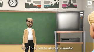 Functions of Cell Wall