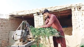 Village life