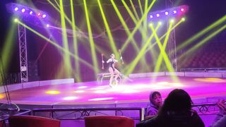 Chilean Talent