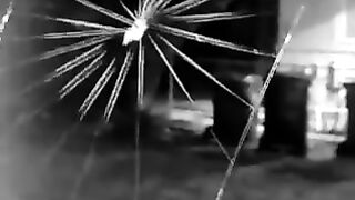 Amazing and Interesting Spider Live Web.