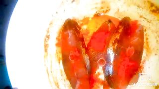 Steam fish recipe 2023 rameem kitchens offical