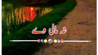 Saraiki status