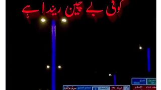 Saraiki status