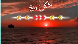 Saraiki status