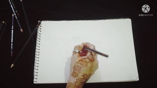 Pomegranate pencilsketch