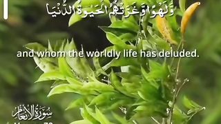 Al Quran