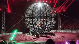 Chilean Talent / Chilean Circus
