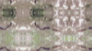 Big Battle King Cobra VS Mongoose