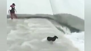 a beautiful video