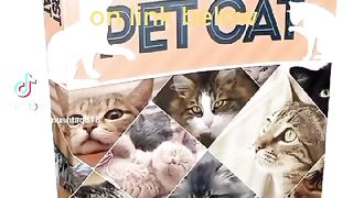Cat books Digital download