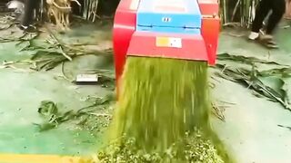 Good Machine