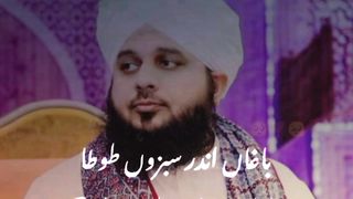 Baga aalyo pathar na maro || باغاں آ لیوں پتھر نہ مارو