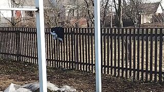 Небольлая связка на турнике (workout)