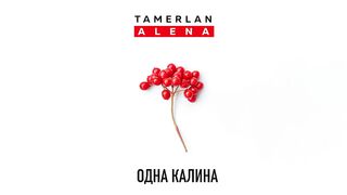 Tamerlan Alena Одна Калина
