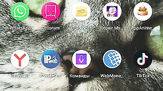 Вывод денег с приложения ipweb