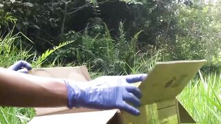 Rescued animals return to the wild in Colombia
