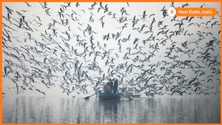 Pictures of the year 2021: Animals