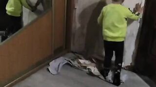Трудотерапия