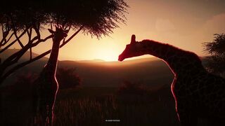 Planet zoo