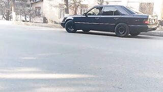 раниная собака