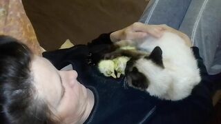 Только из яйца, а уже сколько мамок.