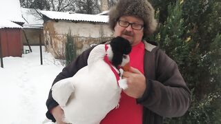 Новогоднее поздравление.